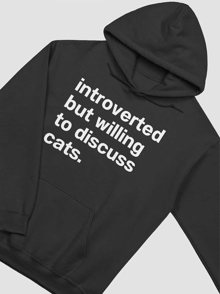 introverted but willing to discuss cats. Unisex Hoodie product image (17)