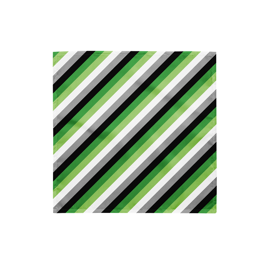 Aromantic Flag Bandana product image (1)