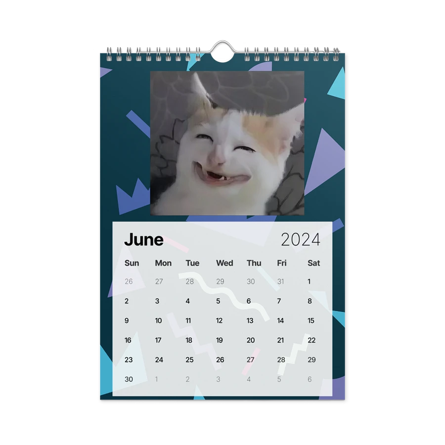 Wall Calendar (2024): Meme Cats product image (12)