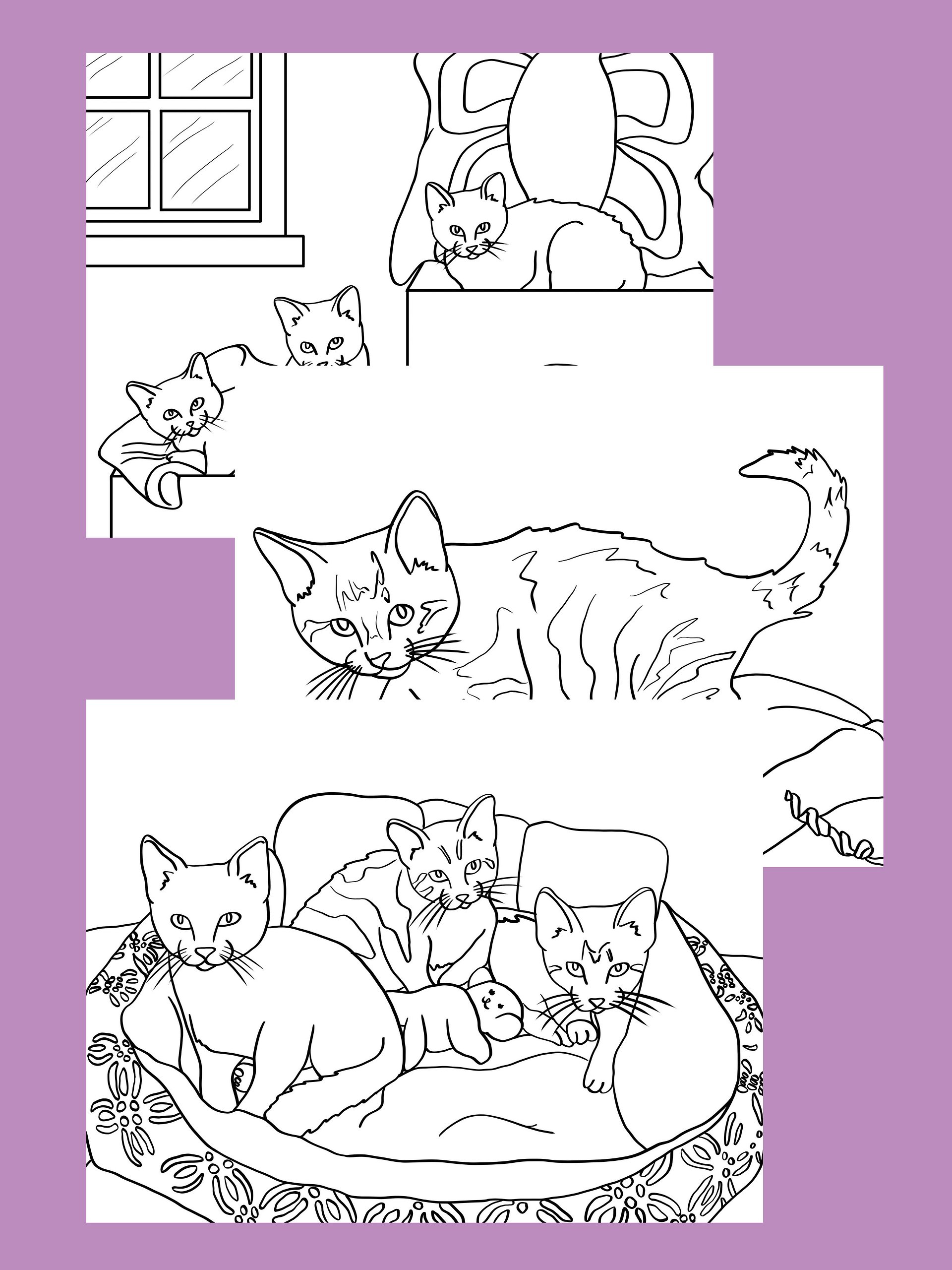 Cats & Kittens Coloring Book - 12 Pages product image (3)