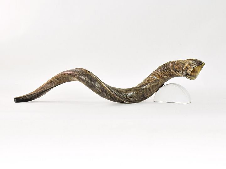 Medium NATURAL Shofar product image (1)