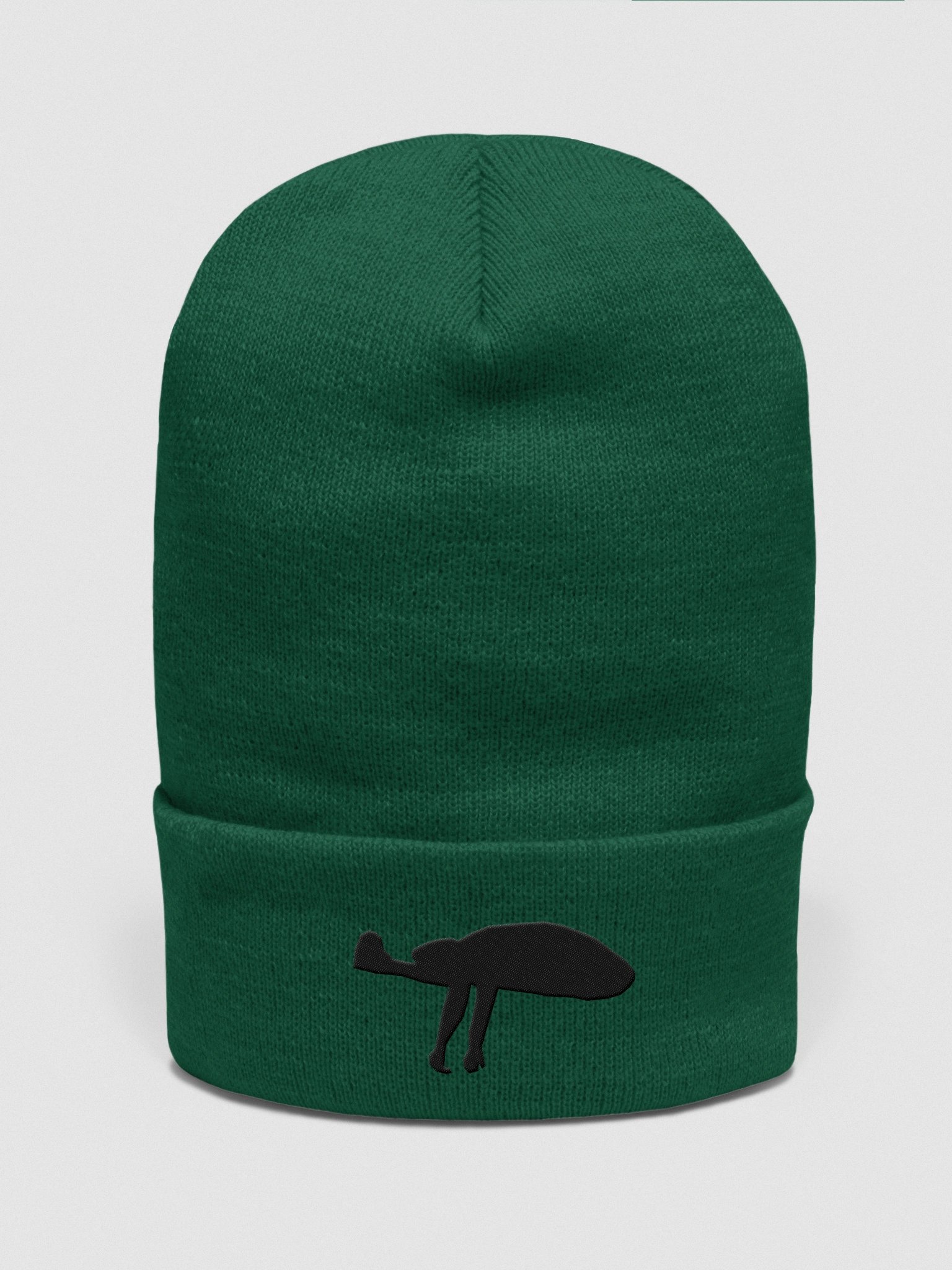 The Anomaly Beanie product image (4)