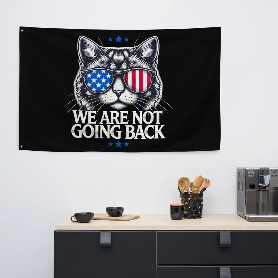 US Election Day 2024 We Are Not Going Back Cat America Flag product image (12)