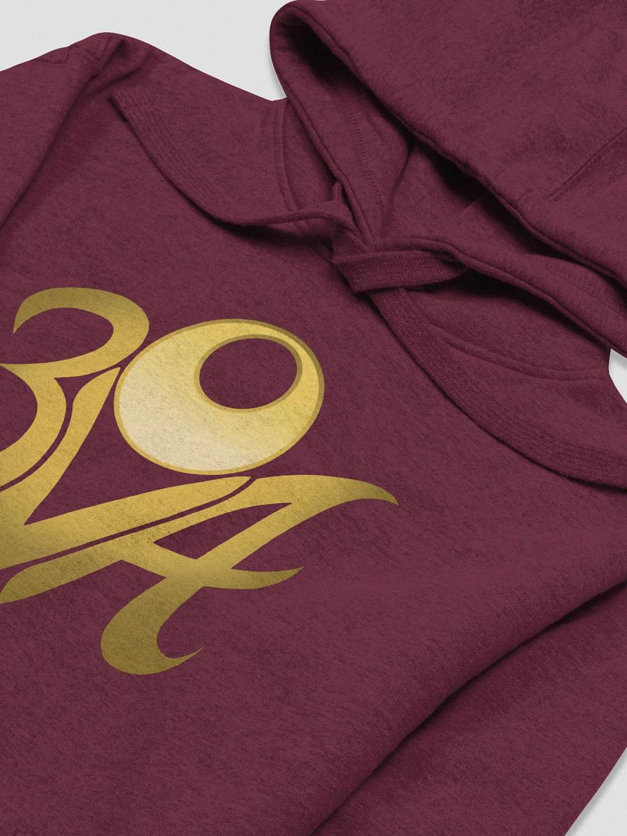 Gold 3VA Logo Hoodie Sweatshirt (see more for color options) product image (3)