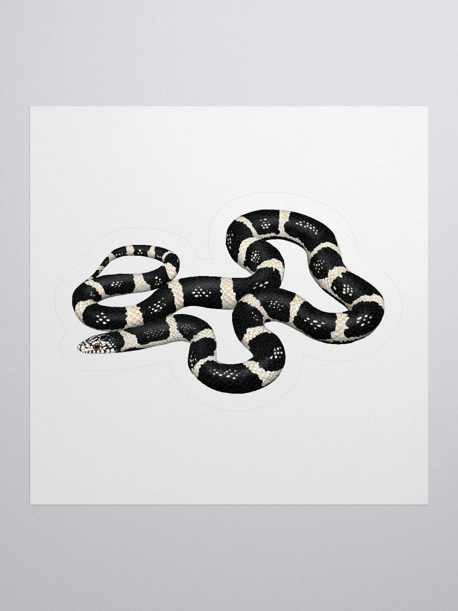 Die-Cut Sticker – Longnosed Snake Clarus Phase product image (1)