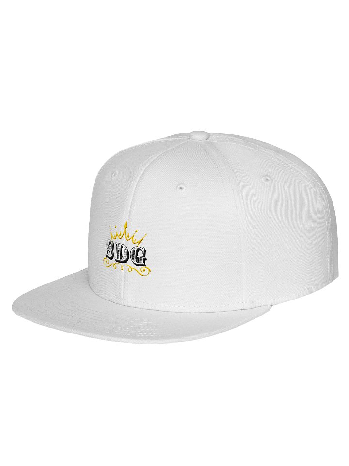 SDG Snapback product image (2)