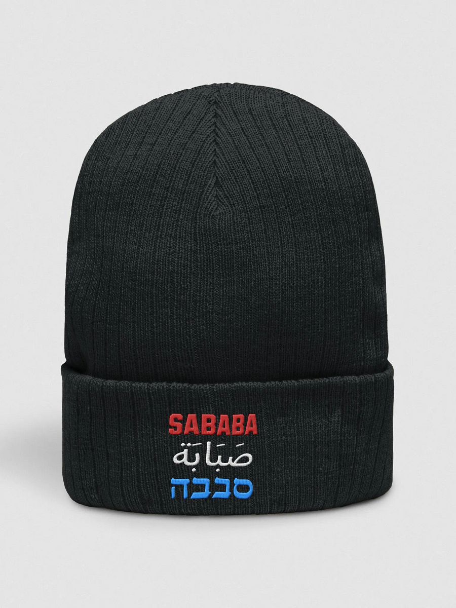 Sababa Embroidered Beanie product image (2)