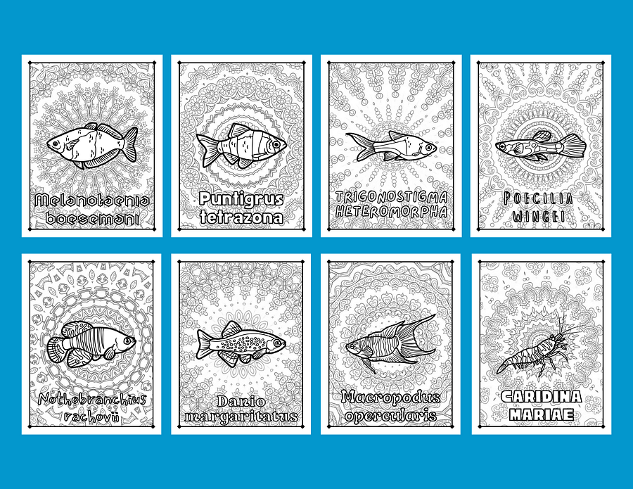 Aquarium Critters & Mandalas 32 Page Printable Coloring Book product image (2)