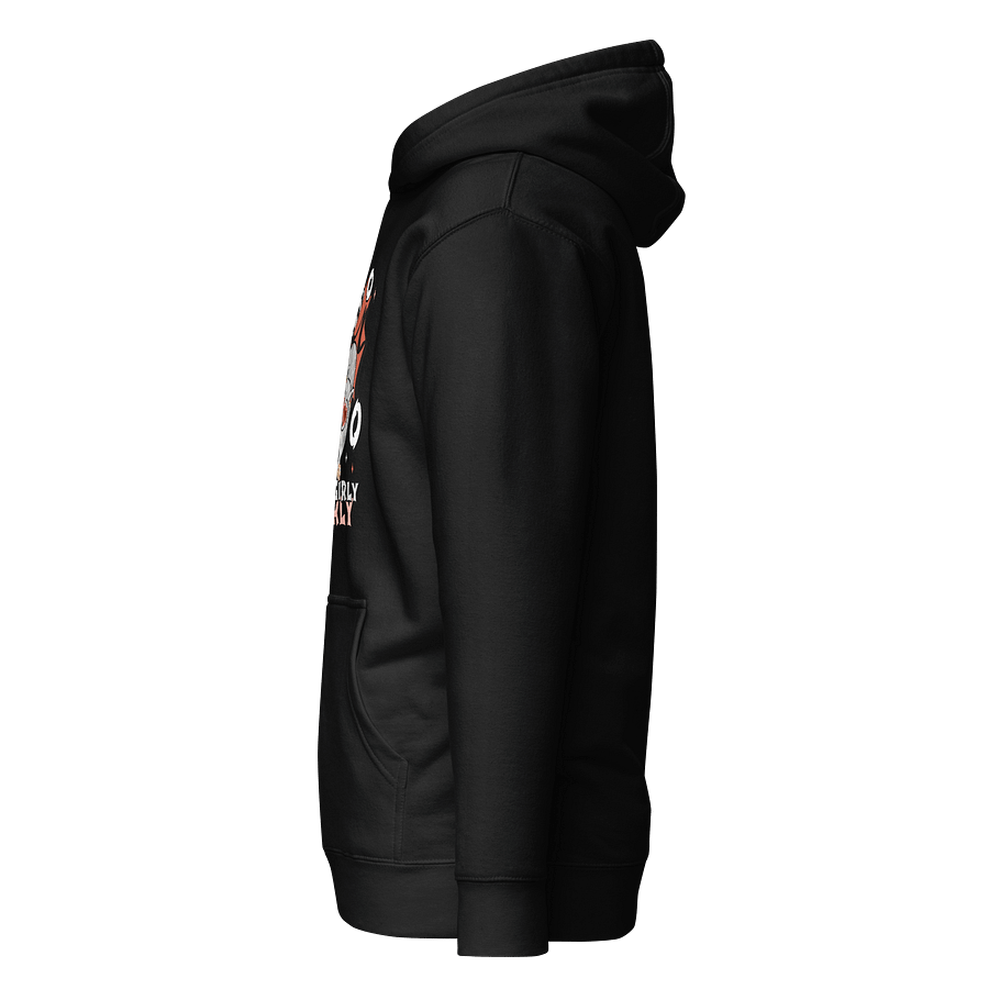 Girly Raccoon Chic Hoodie product image (13)