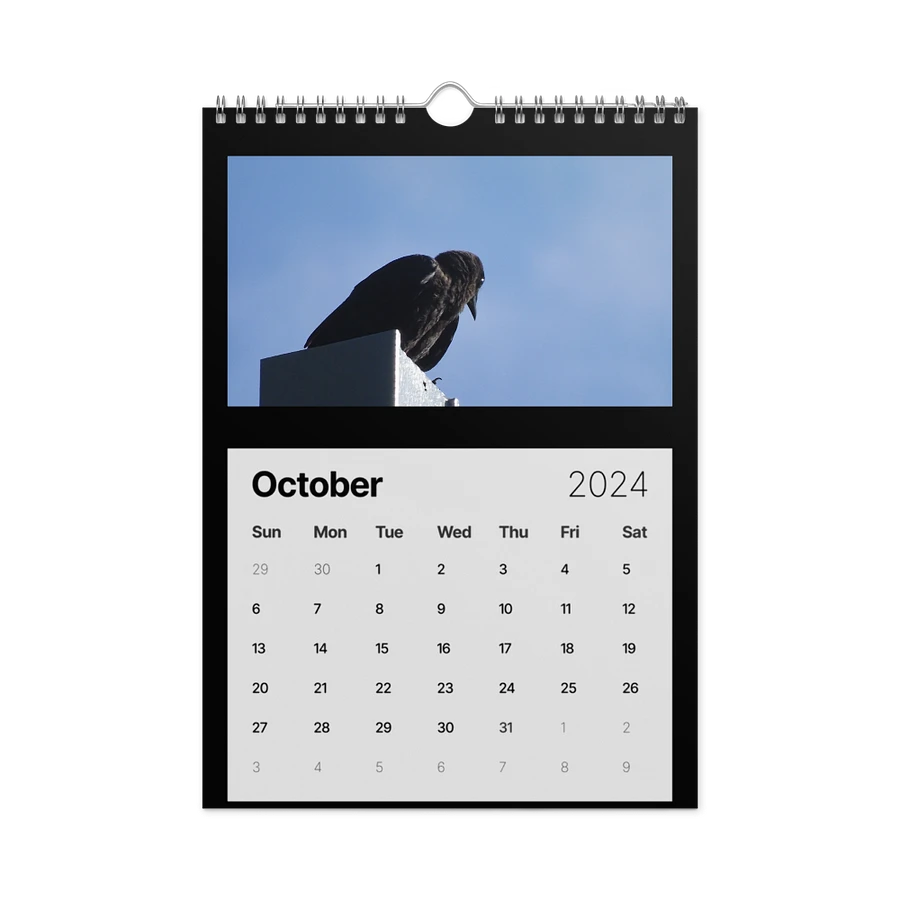 Dorn_Geek Fotos 2024 Calendar product image (16)