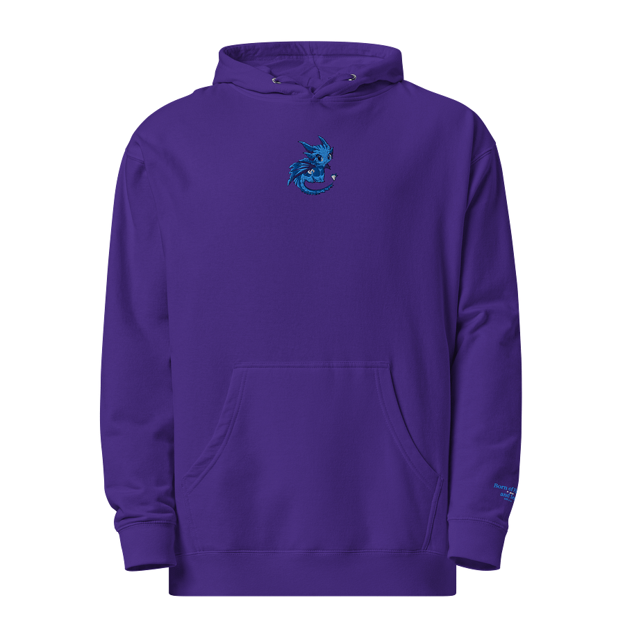 Niya and the Lator's V1 Embroidered Hoodie product image (2)