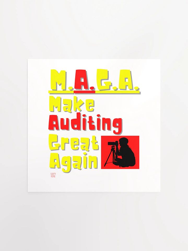 MAKE AUDITING GREAT AGAIN product image (5)