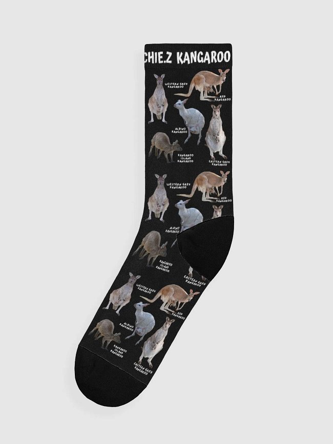 Socks