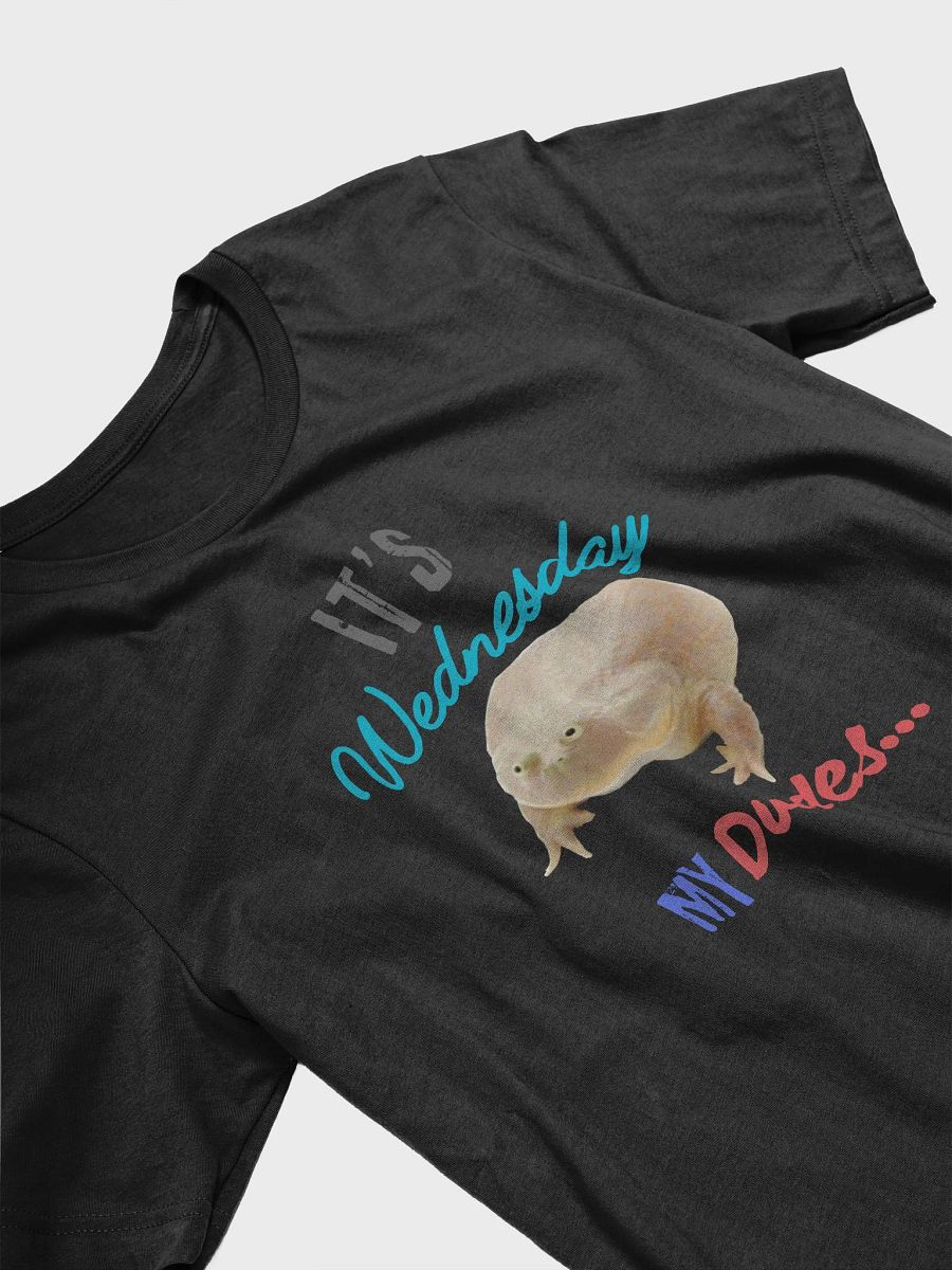 Wednesday Frog Vibes T-Shirt product image (13)