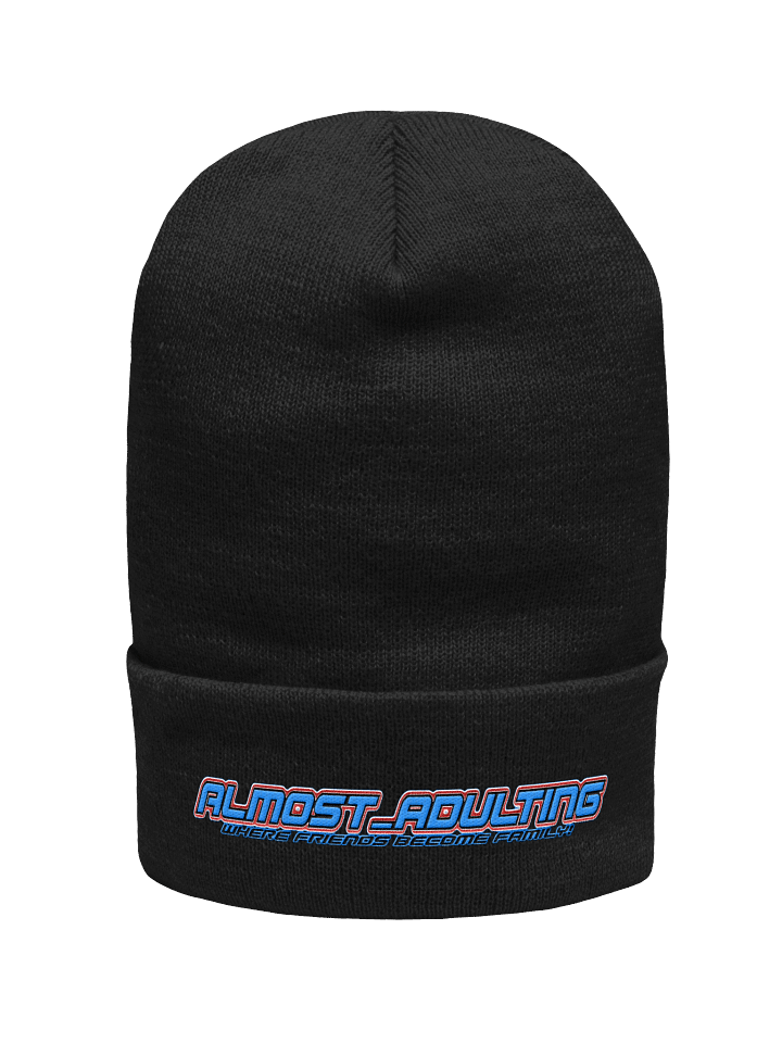 ALMOST_BEANIE2 product image (1)