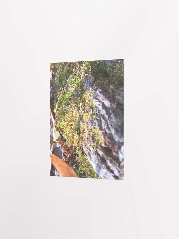 Forest Skin product image (27)