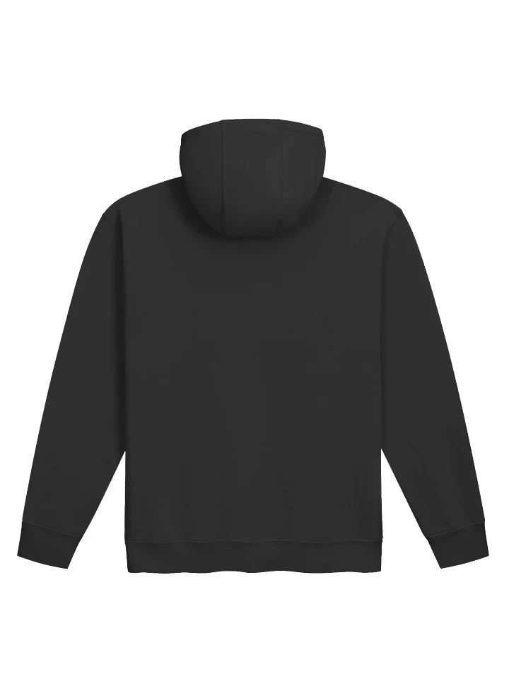 Canton Music Academy Hoodie product image (5)