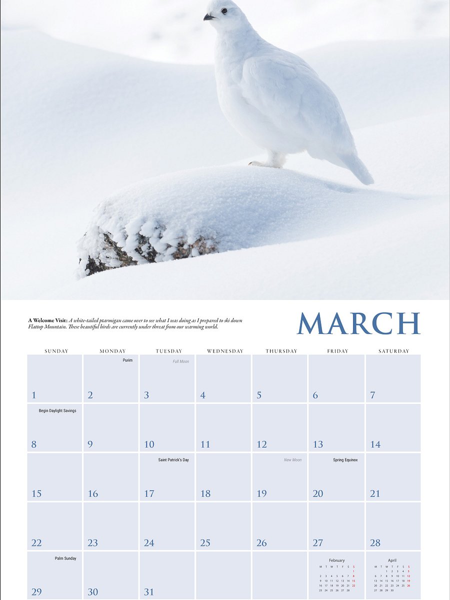 2026 Calendar product image (5)