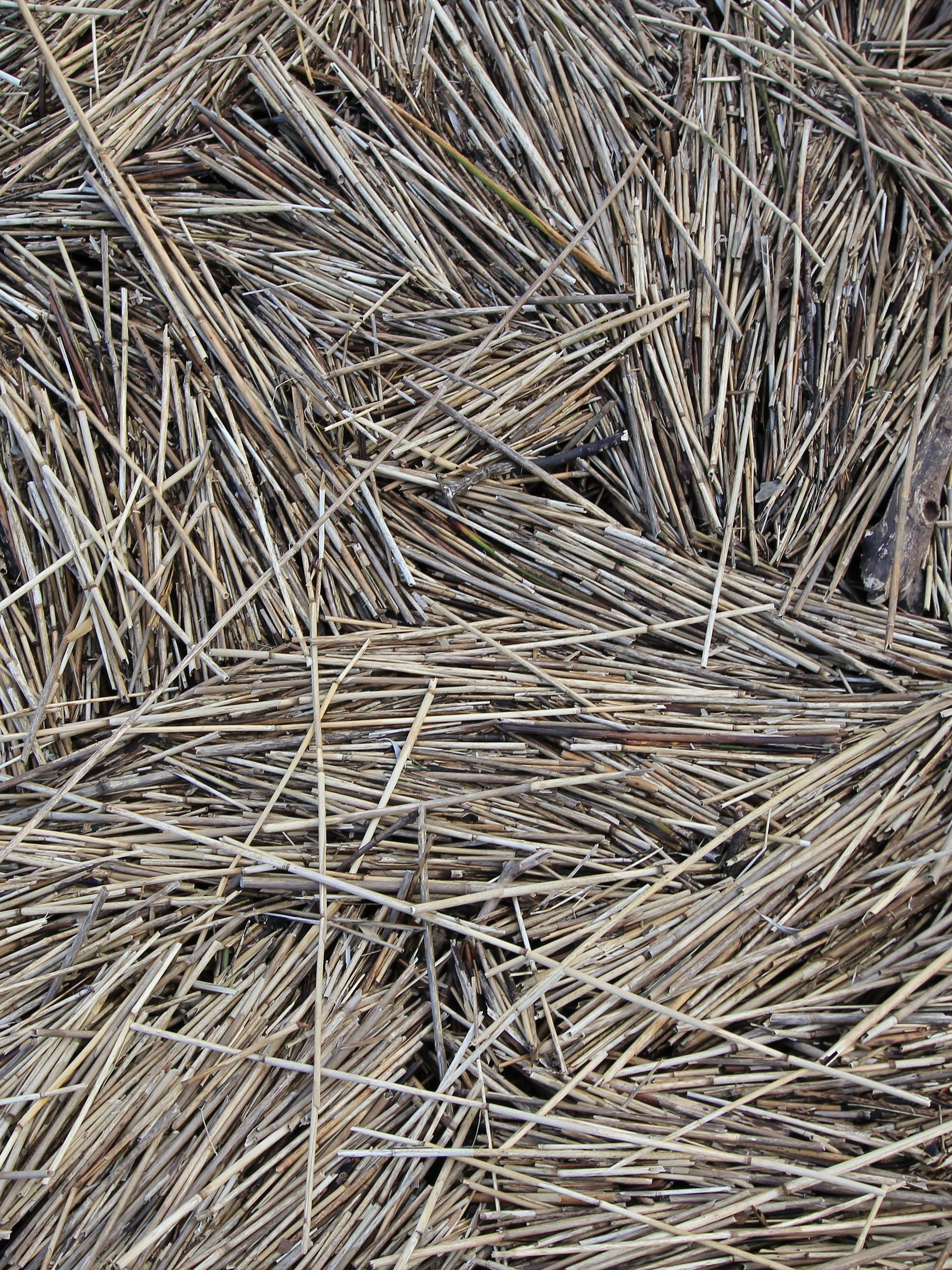 Abstract Image Collection product image (2)