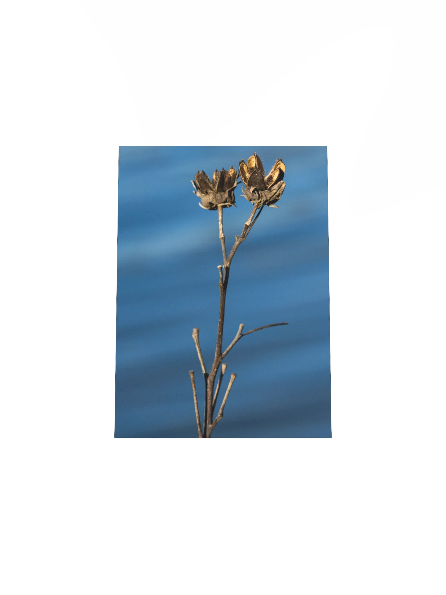 A Rush With Stillness (Matte Poster) product image (11)