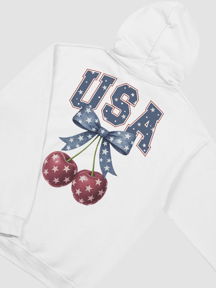 Starry USA Classic Hoodie product image (4)
