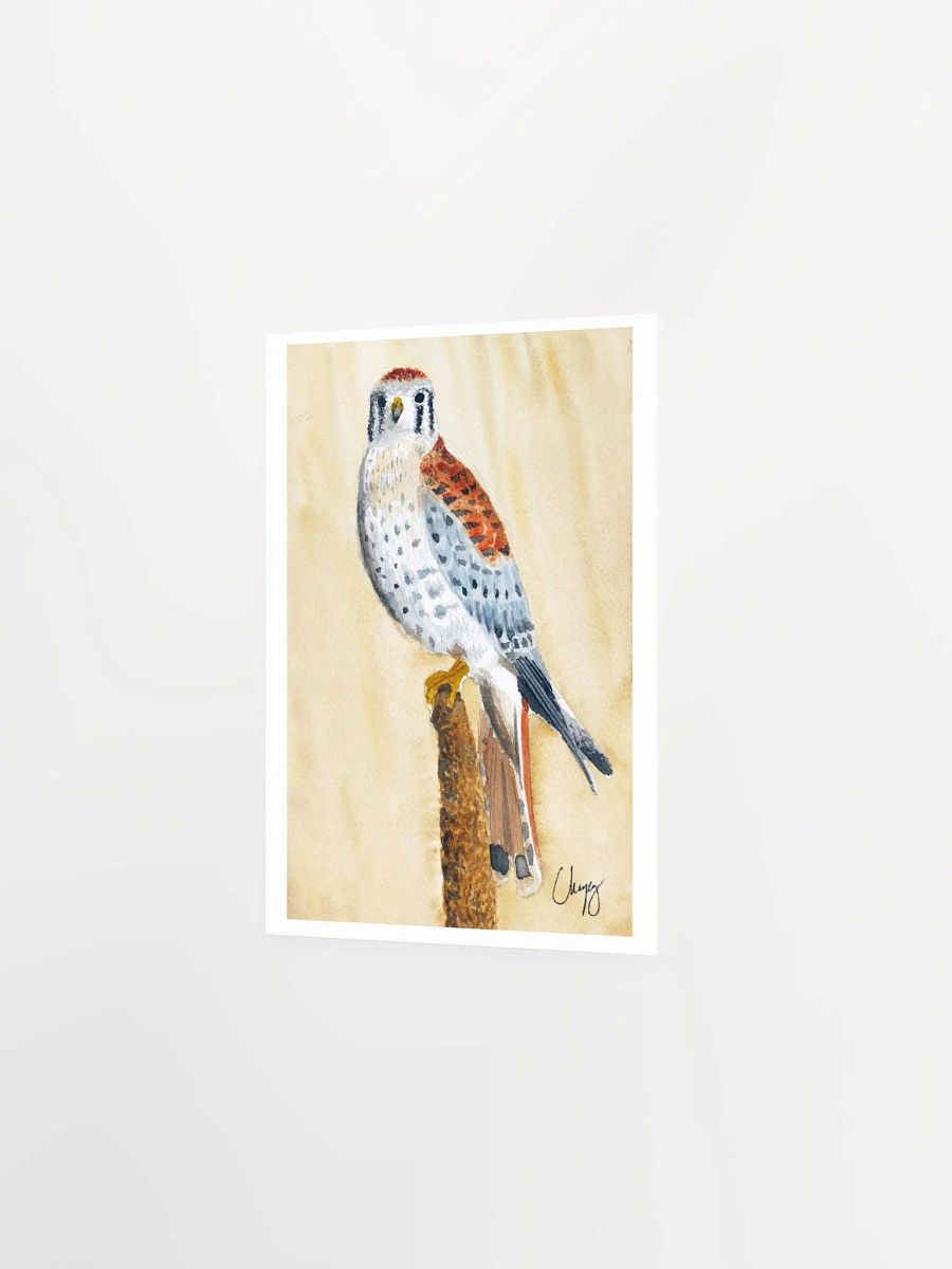 Kestrel Print product image (2)
