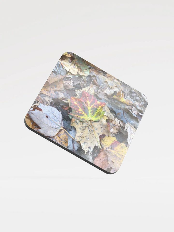 Fall Leaves Cork Coaster product image (1)
