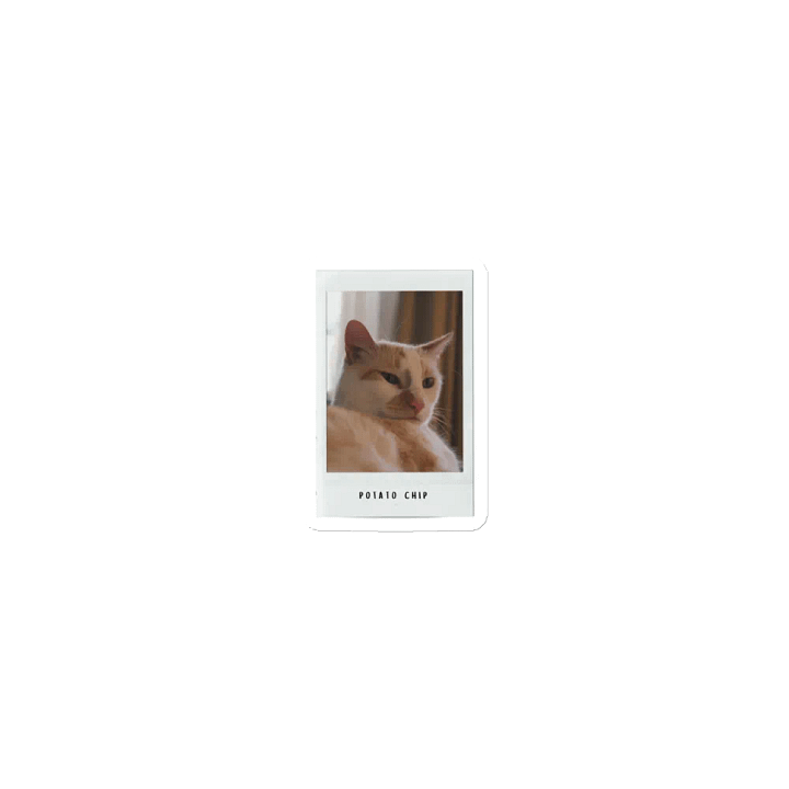 Potato Chip Polaroid Magnet product image (1)
