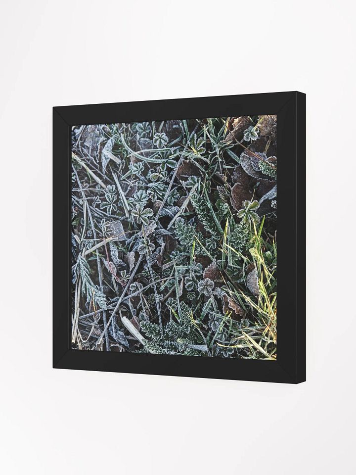 Frozen (Framed Poster) product image (6)
