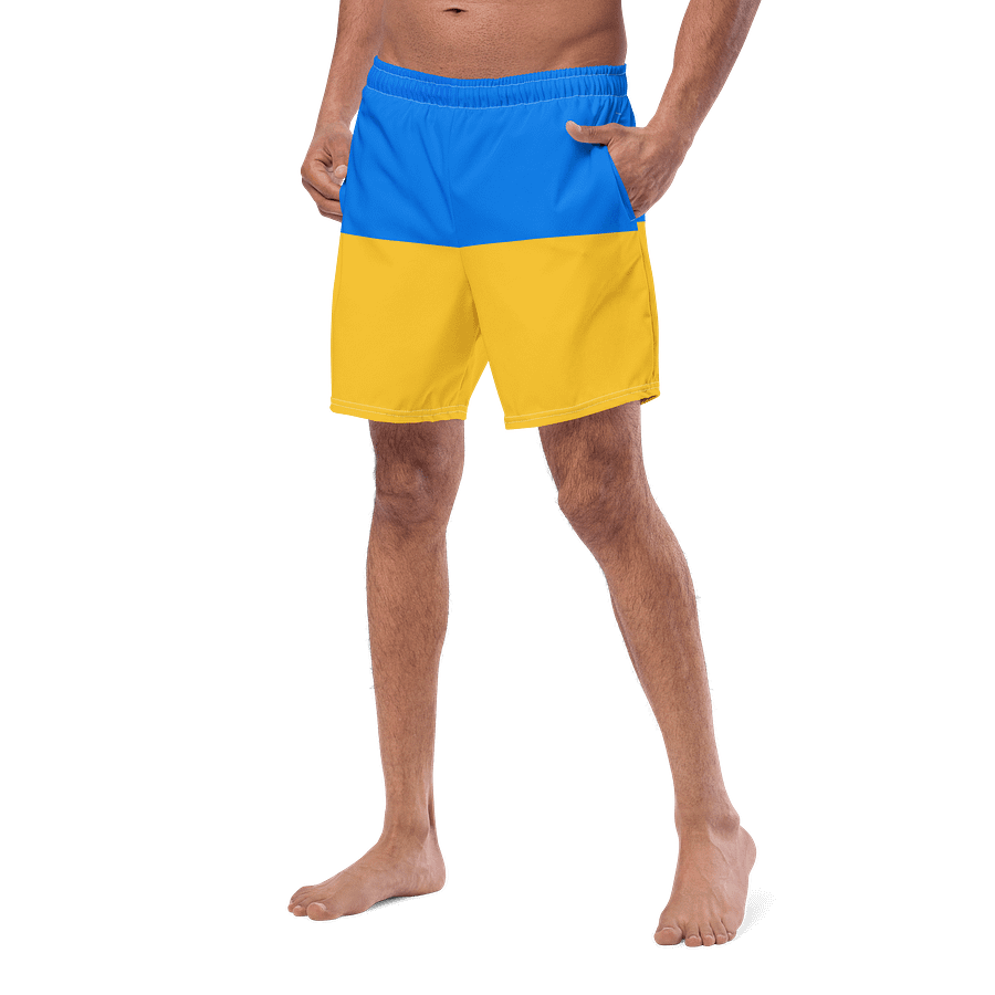 Sunshine Splash Swim Shorts product image (2)