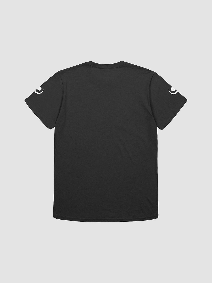Crescent and star product image (2)