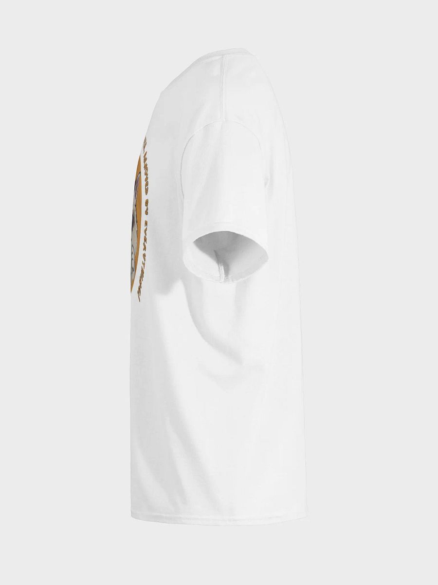 Ragdoll Coffee T-Shirt product image (23)