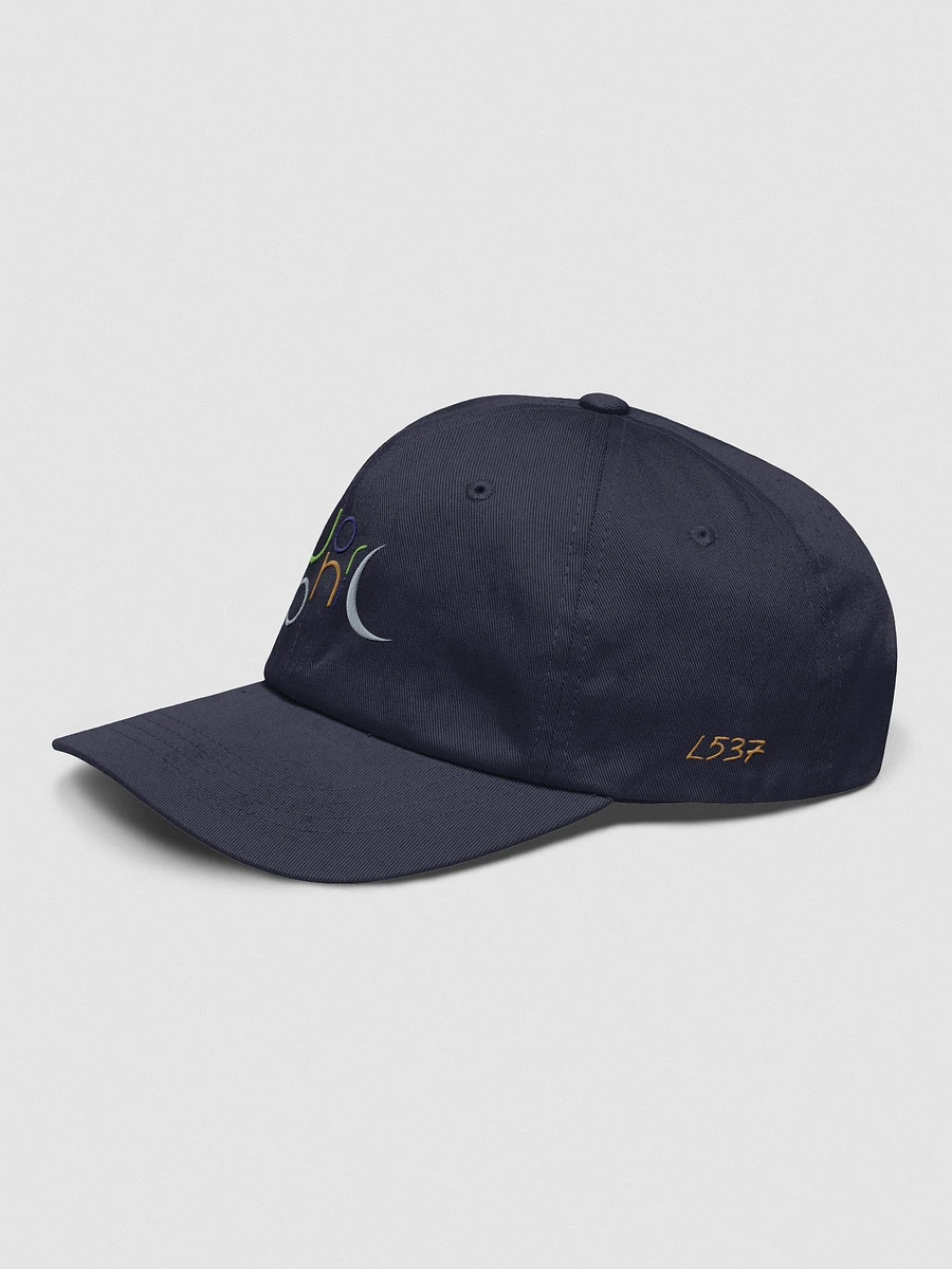 Earthy Dad Hat product image (10)