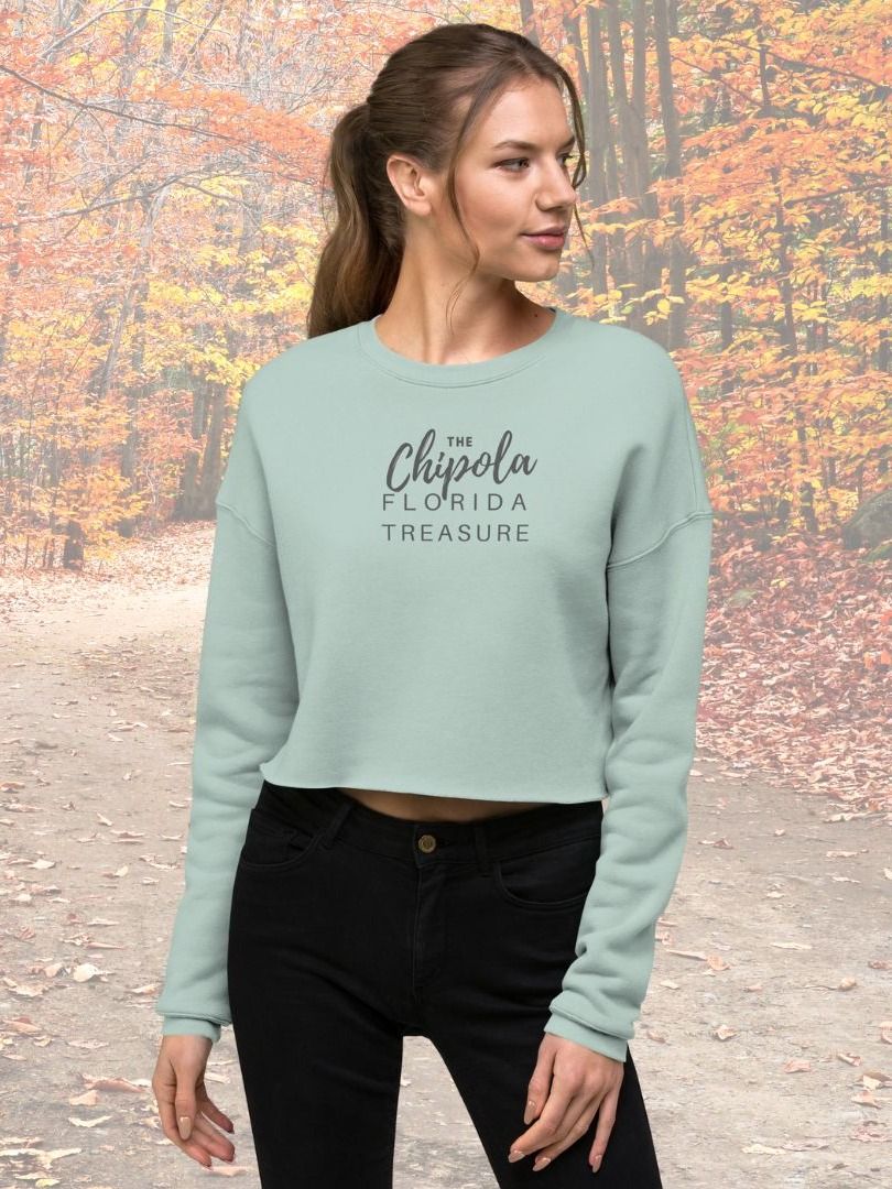 The Fleece Crop Sweatshirt product image (1)