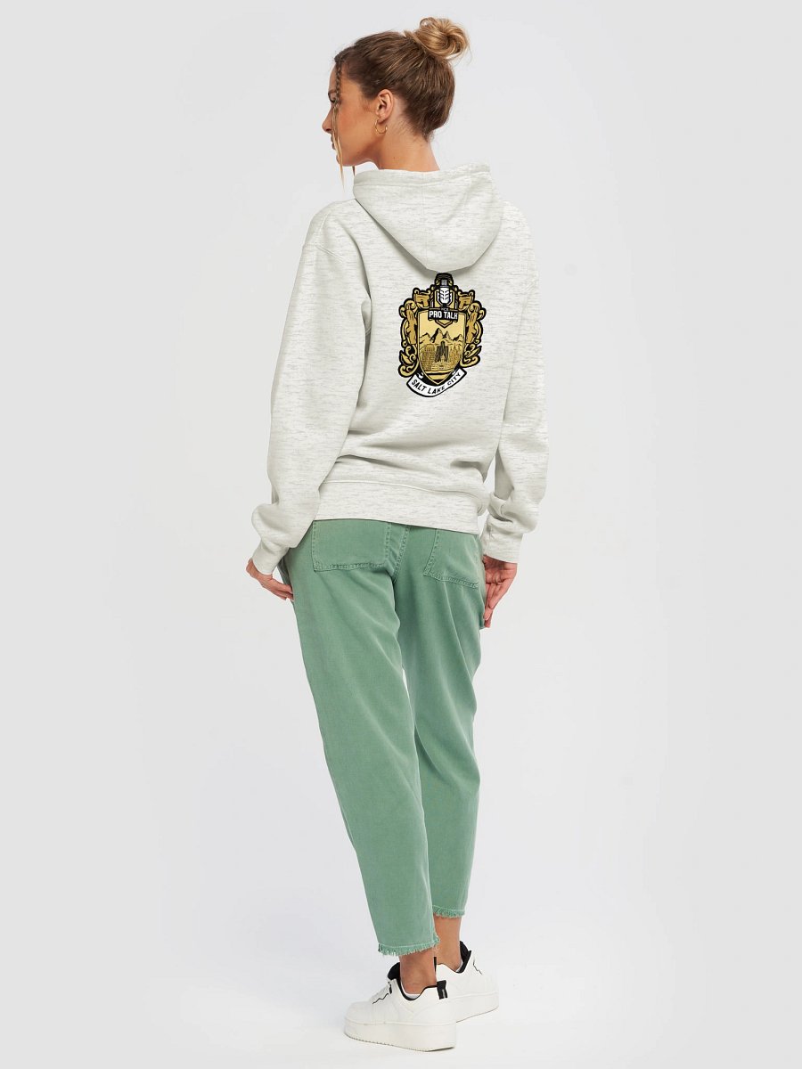 HPT x SLC Premium Hoodie (Light) product image (6)