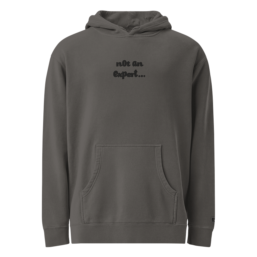 Stealth "not an expert..." Official Heavy Weight Hoodie product image (8)