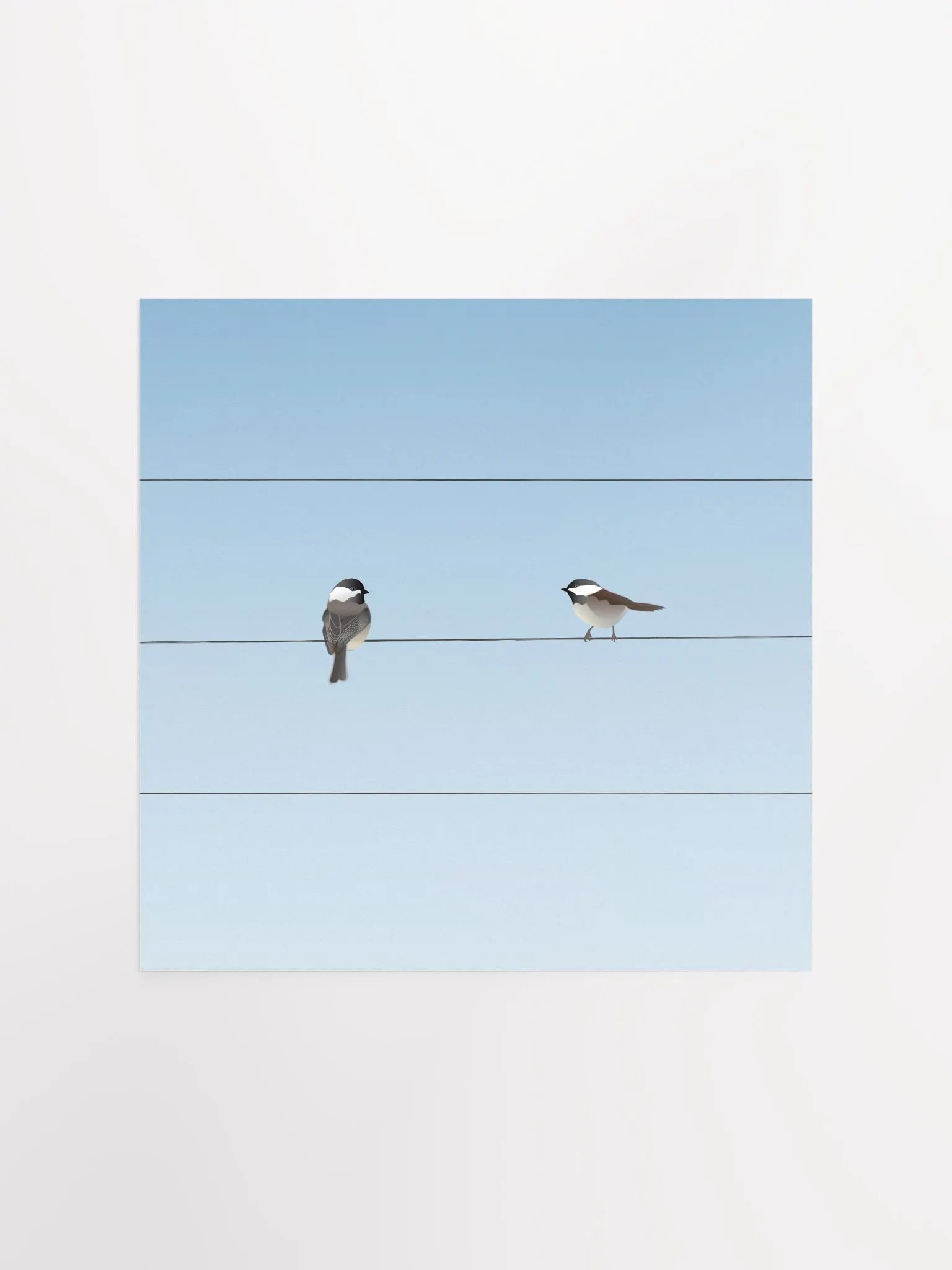 Two Birds on a Wire product image (1)