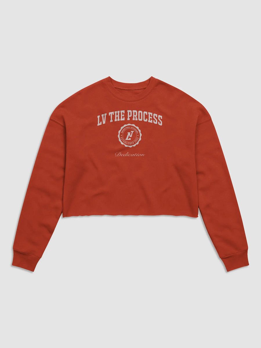 Cropped Collegiate Pullover product image (1)