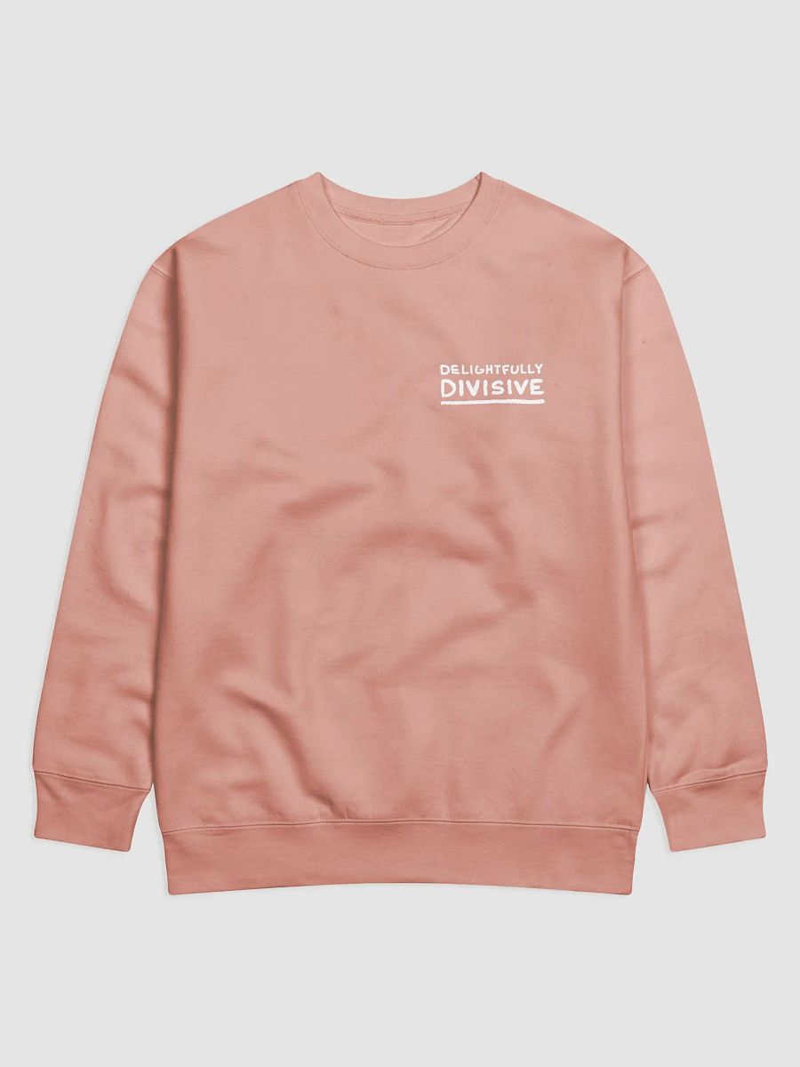 DELIGHTFULLY DIVISIVE (sm. white design) printed cotton crewneck product image (5)