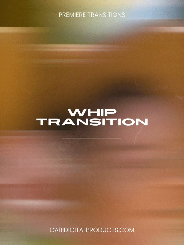 Ultimate MRR/PLR Premiere Presets BUNDLE product image (2)