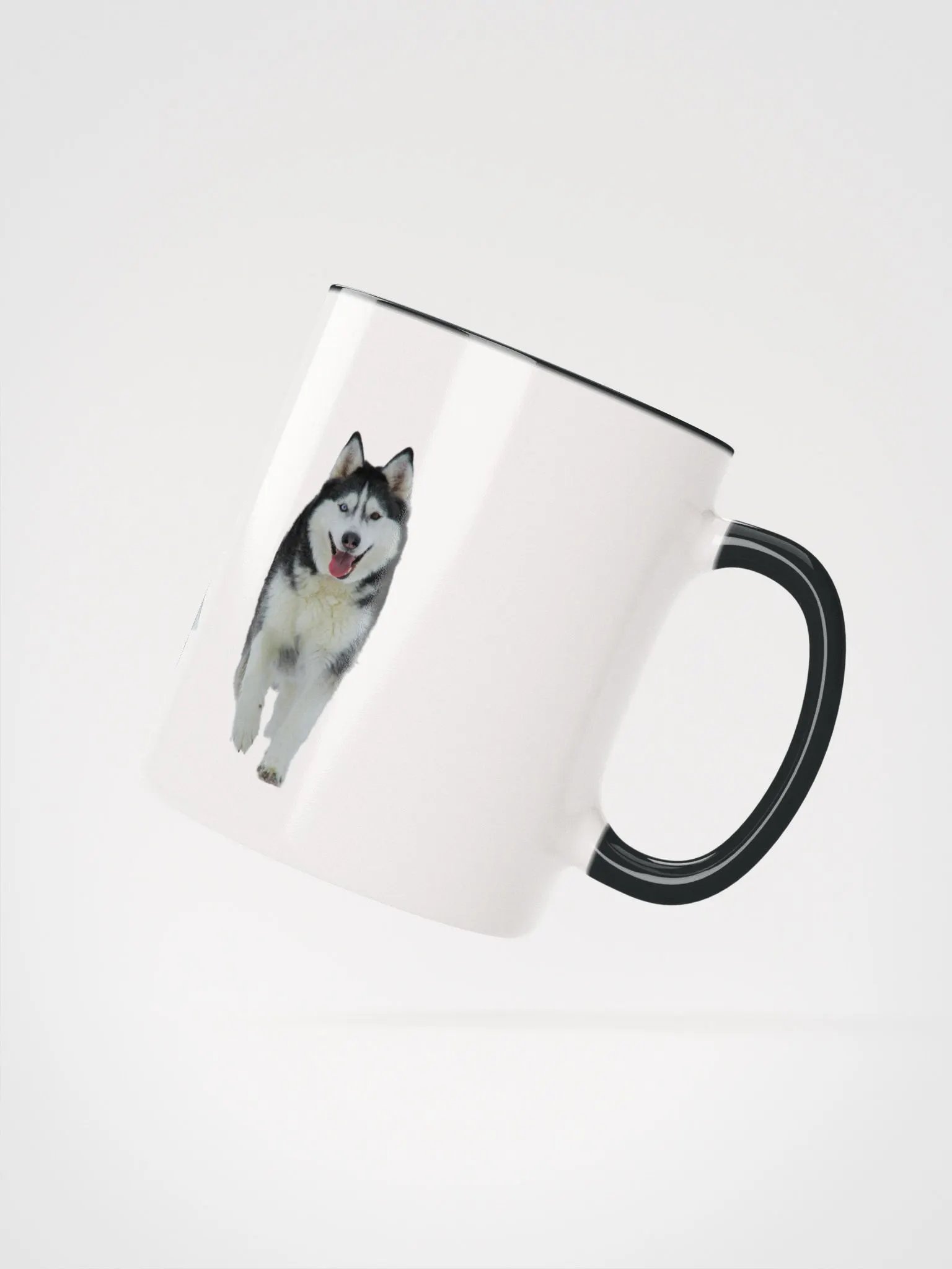 Majestic Siberian Husky with two different colored eyes product image (4)