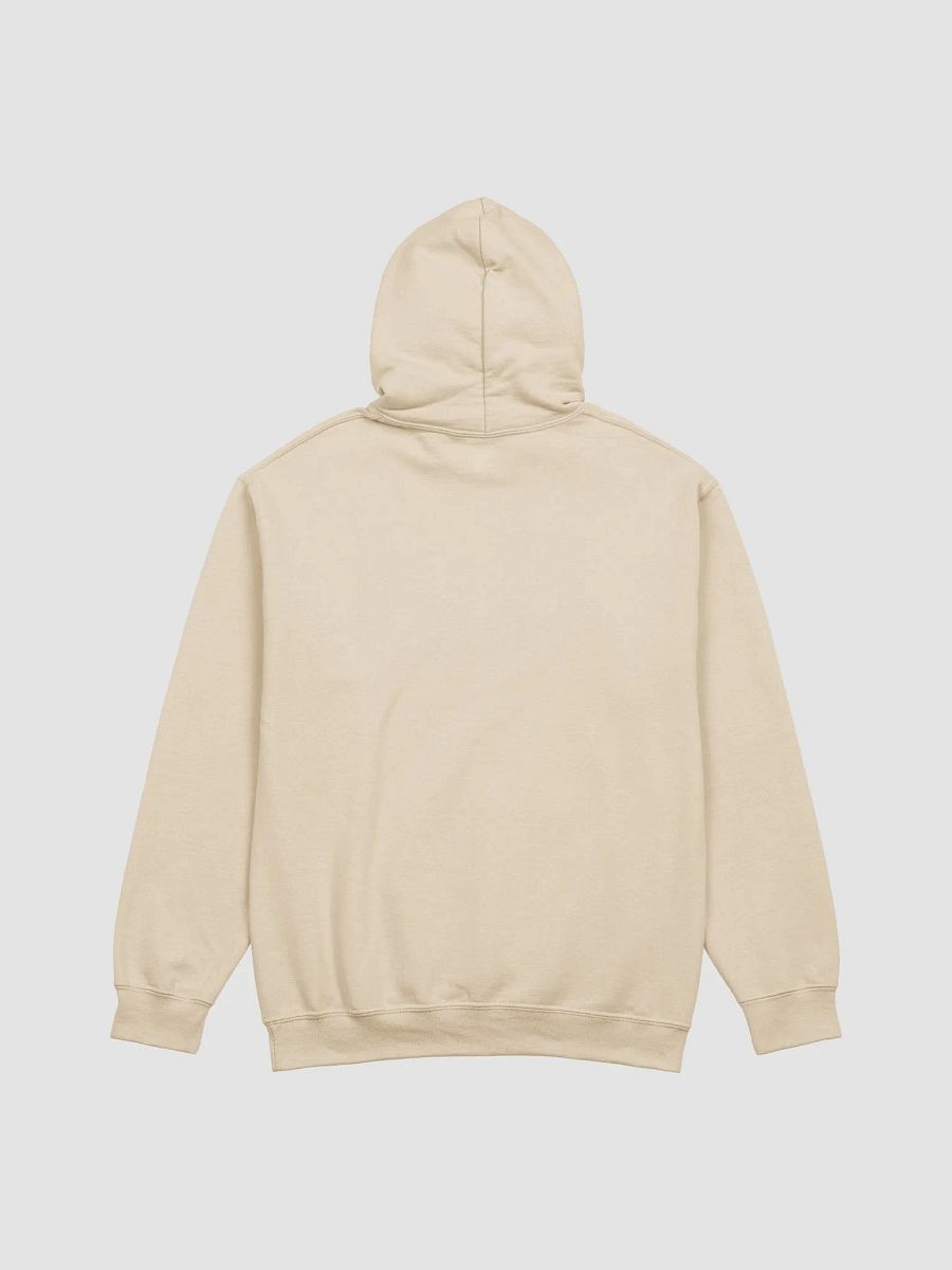 No Fake News Hoodie unisex product image (4)
