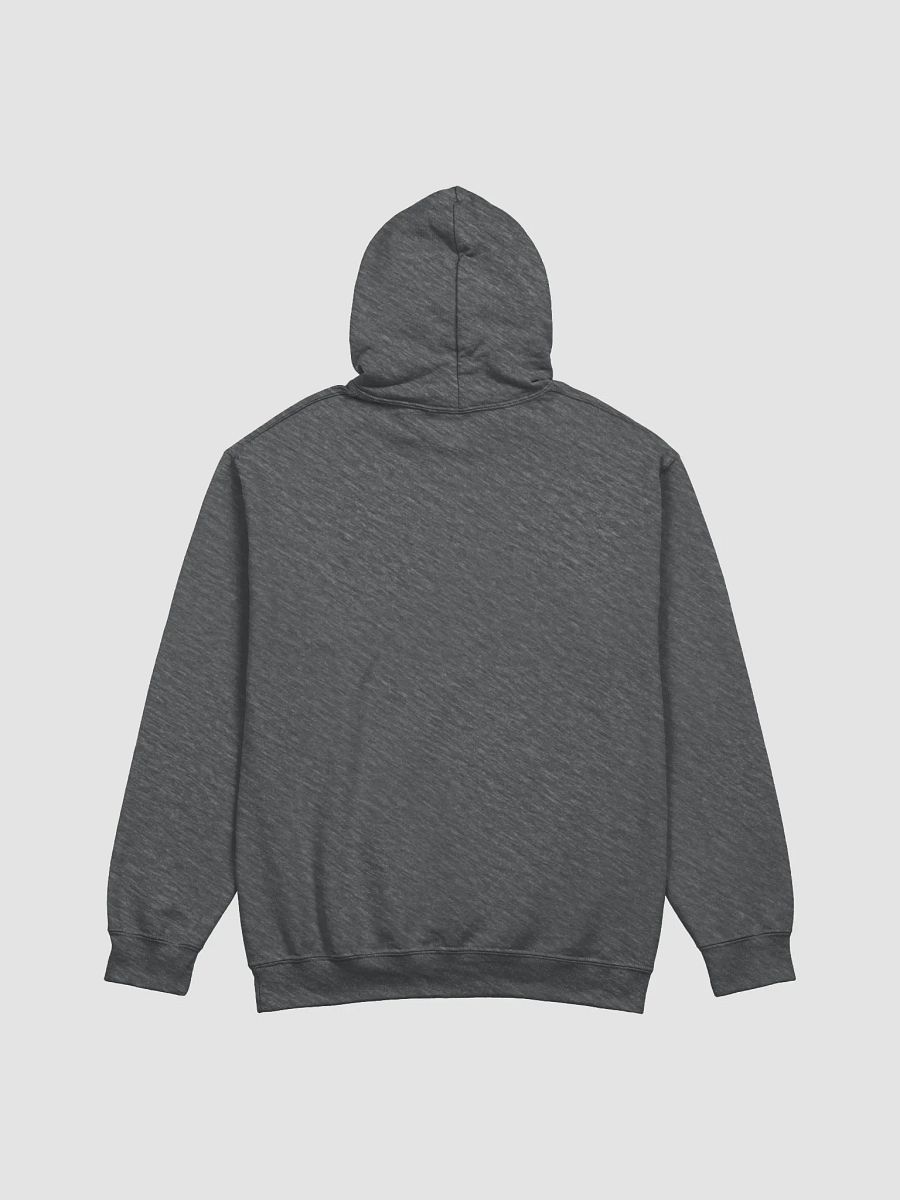 You Recruits Okay? (Hoodie) product image (2)