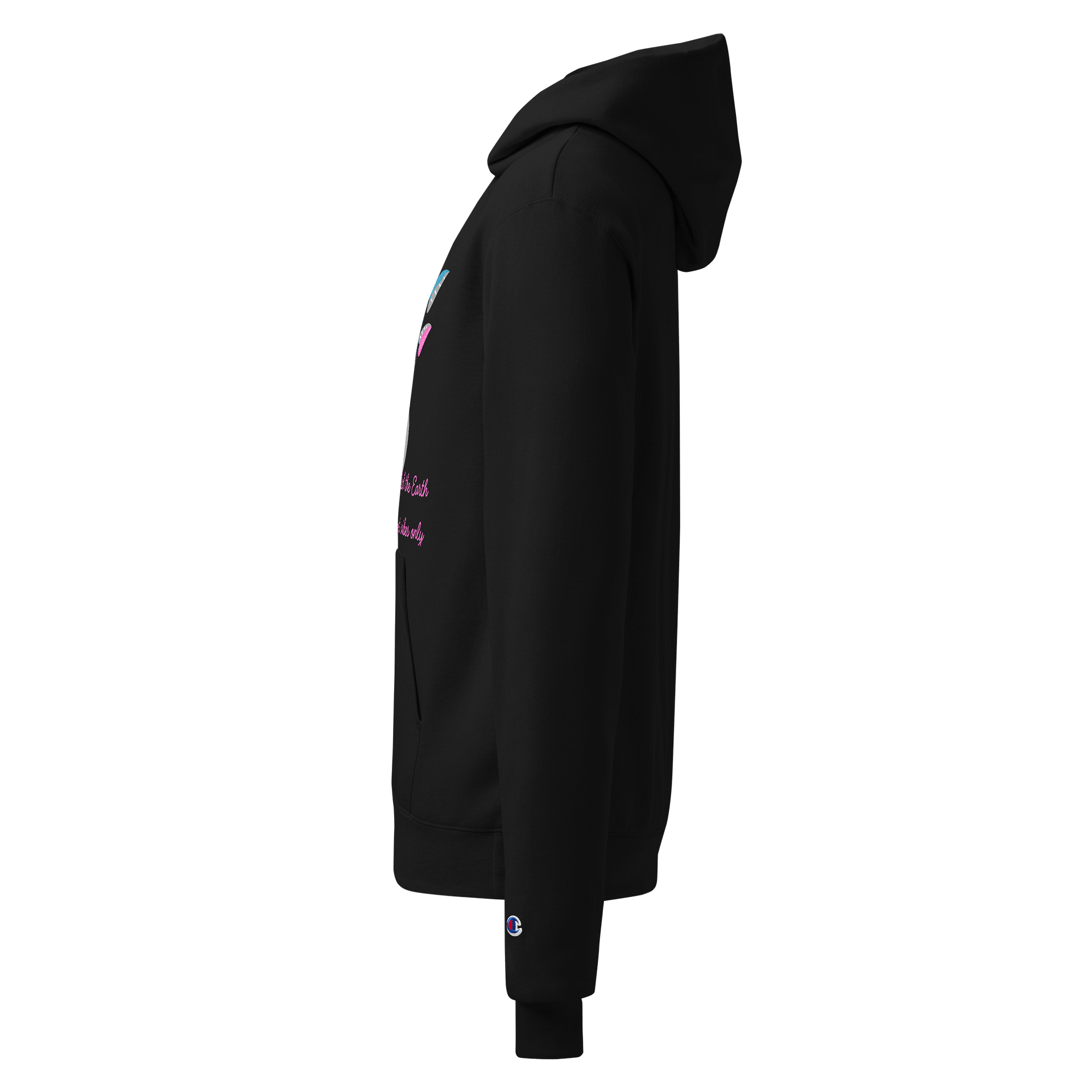 Rooted in Comfort Hoodie product image (3)
