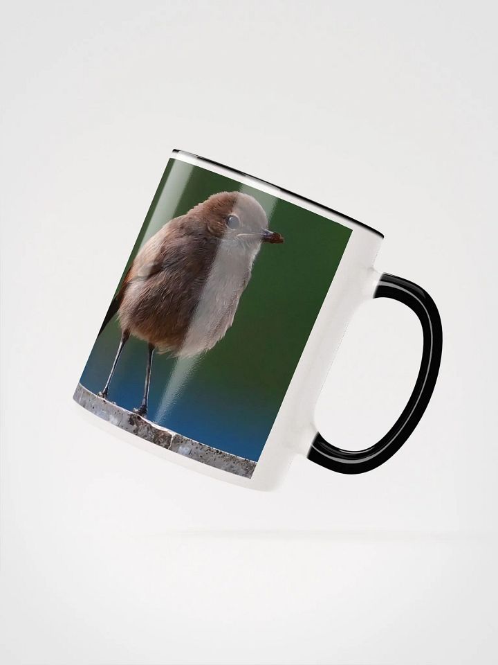 IUCAA Birds MUG product image (2)