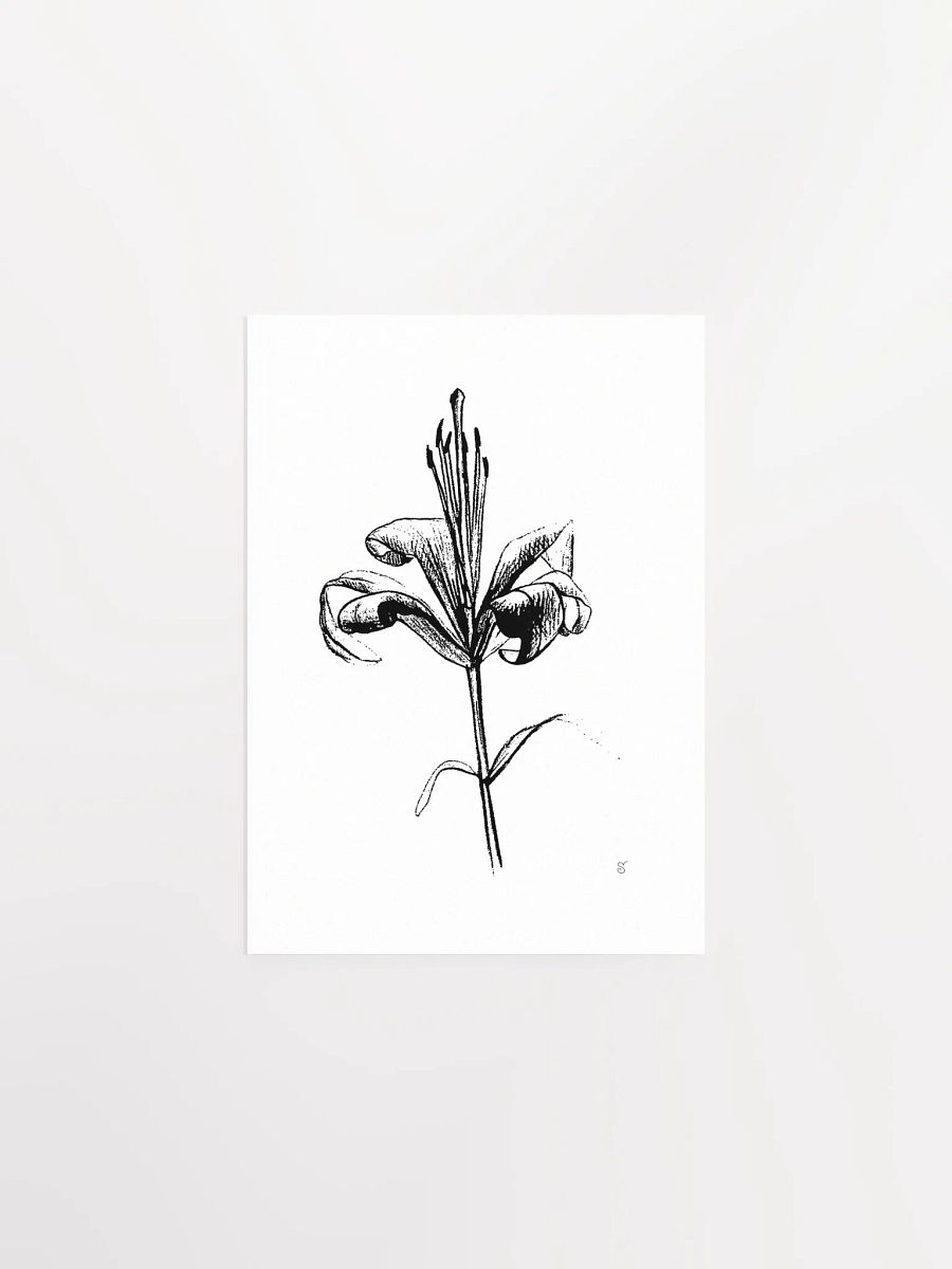 Lily Elegance Poster - Fine Flower Light product image (1)