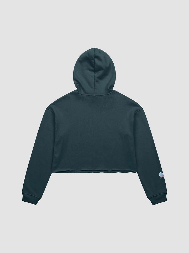Gaytorade Boba Cropped Hoodie product image (12)