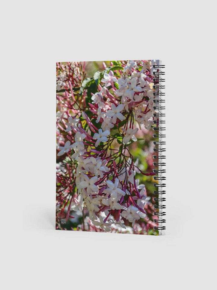 Notebook GeoGraphik – Jasmin / Jardin du Rayol – Format A5 product image (2)