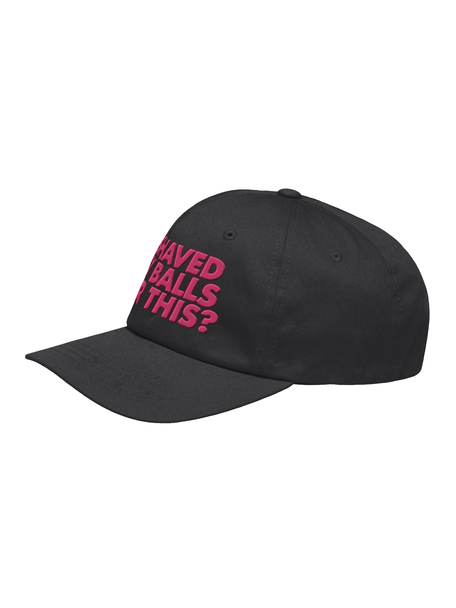 I Shaved My Balls For This? Embroidered Dad Hat product image (9)