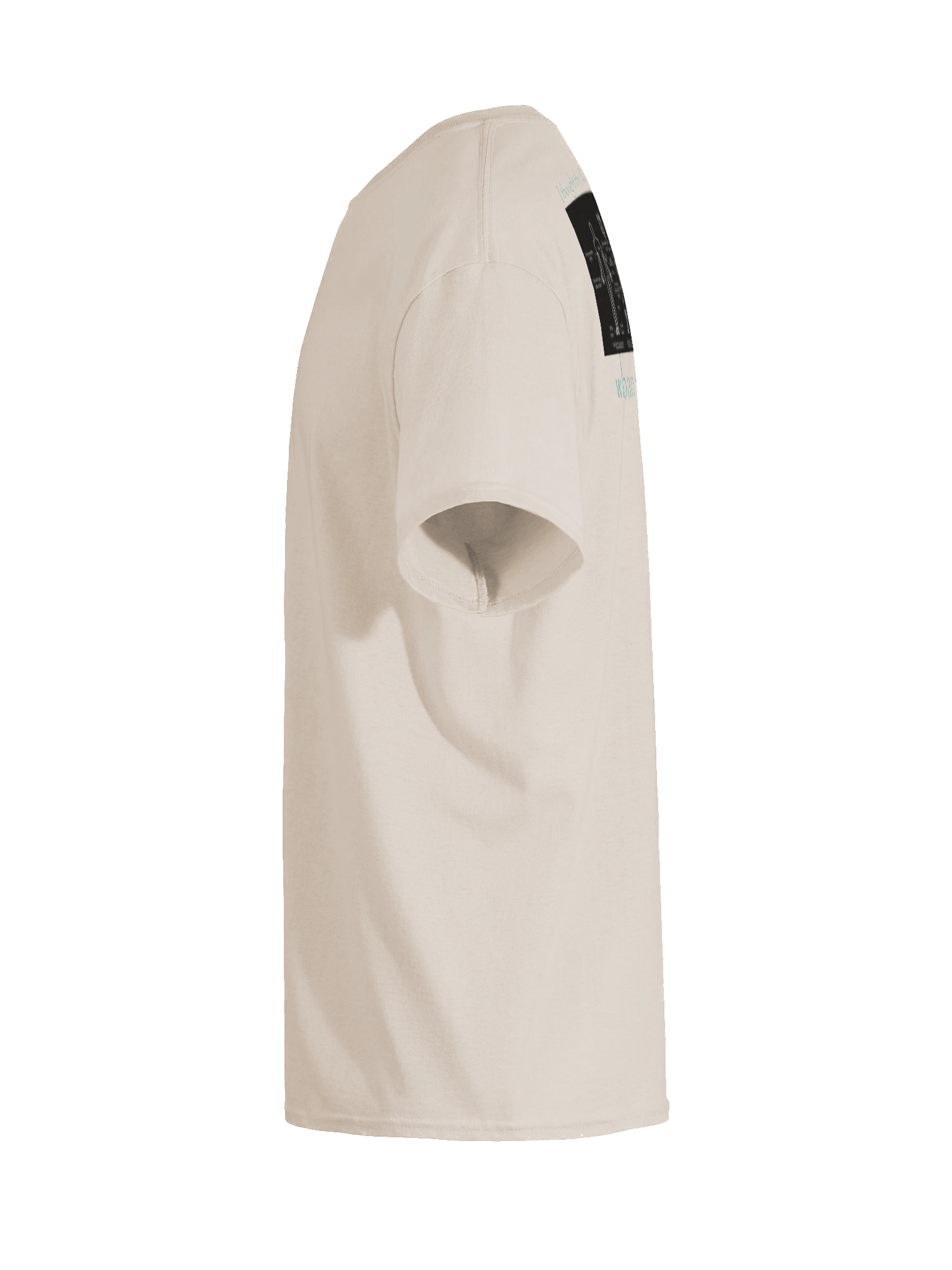 Block Chain isn't just for Bitcoin Full Back product image (11)